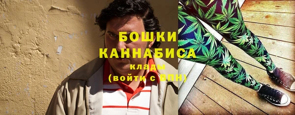 соль ск Медногорск