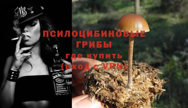 гидропоника Медвежьегорск