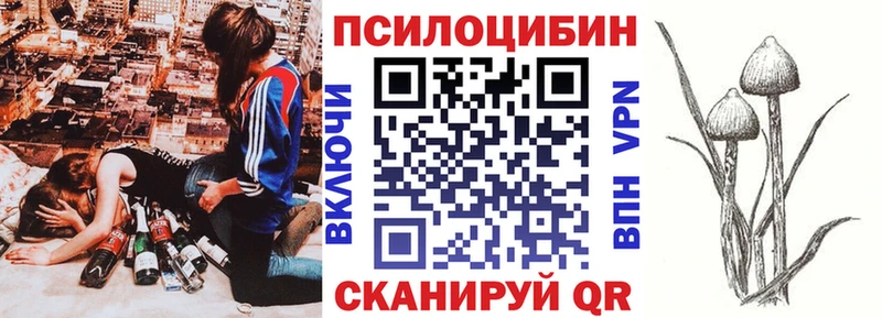 Купить где  Пенза  Псилоцибиновые грибы Psilocybine cubensis 